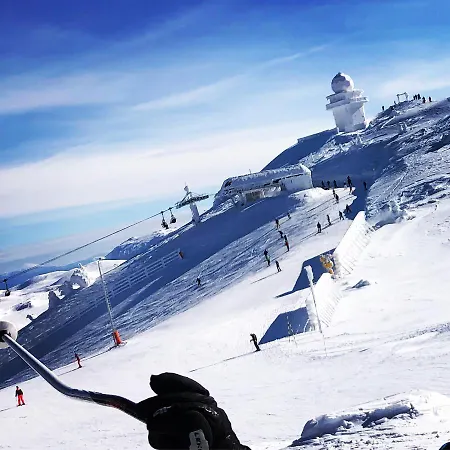 Wolf Jahorina