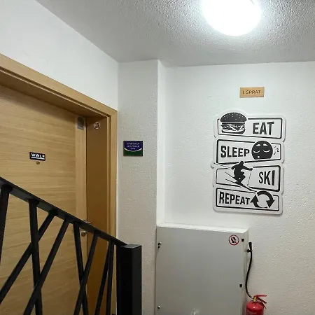 Wolf Apartment